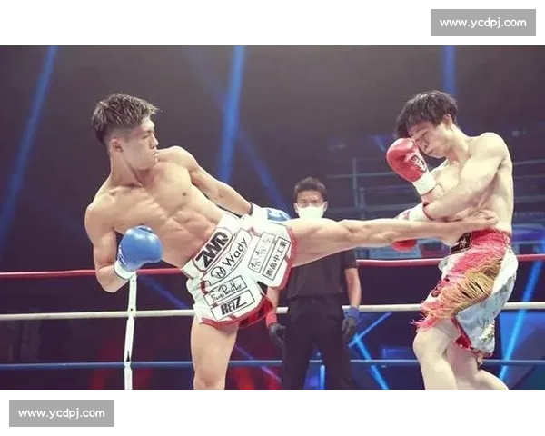 深入探讨VS泰拳的起源发展技法特色与国际影响力分析