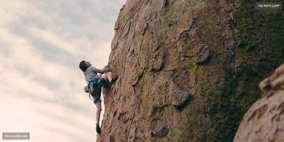 我们的品牌价值